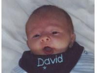 David *27.09.2010